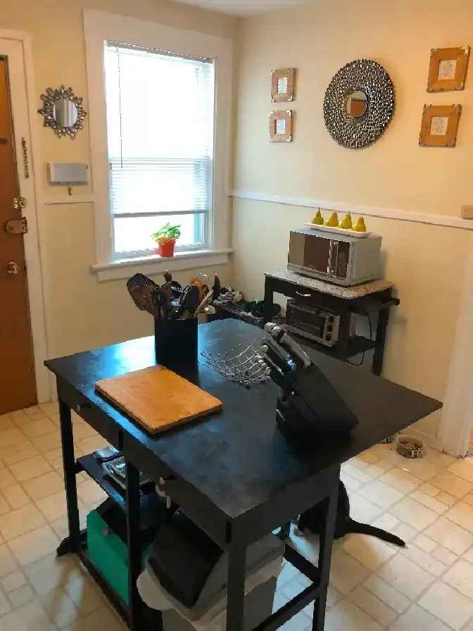 Large 2 Bedr Apartment Downtown (Open Now) - Dog & Cat Friendly