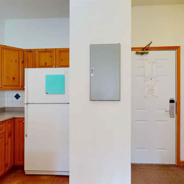 Whistler Village Studio Units Mountain Views Rental Investment