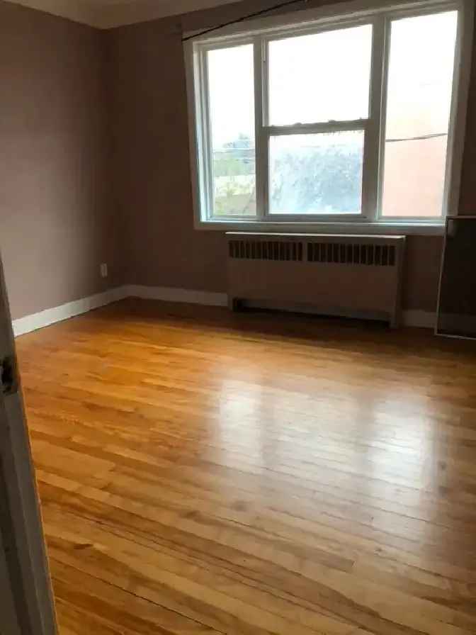 Large one bedroom apartment for rent