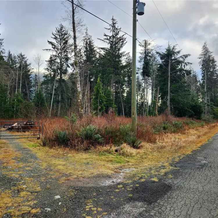 6 Acres Treed Paradise Sayward Valley