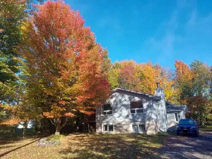 Rent 3 Bedroom Apartment Country Oasis Just Outside Casselman