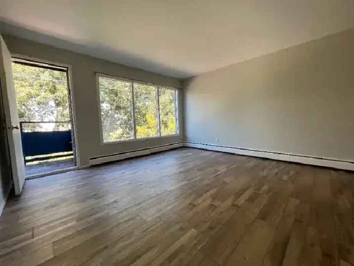 Spacious Newly Renovated 2 Bedroom Suite Near Downtown