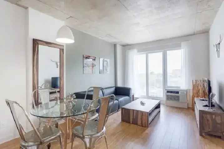 Furnished Condo for Rent - Rooftop Terrace & Pool