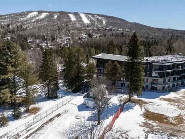 Multi Purpose Property for Sale near Ski Resort