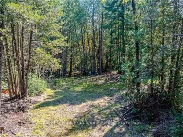 20 Acres Natural Beauty Recreational Property with Bunkie