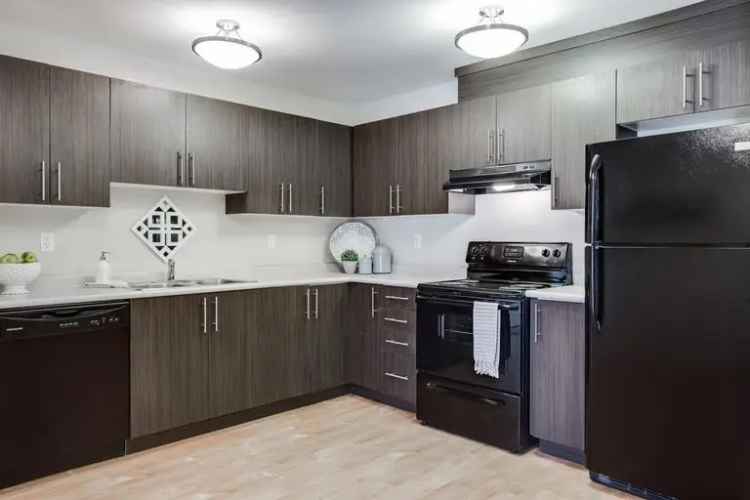 Rent Apartment in Winnipeg with Modern Features and Pet Friendly Options