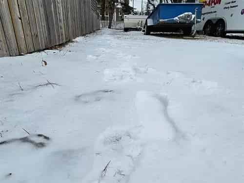 Vacant Land For Sale in Crescentwood Winnipeg