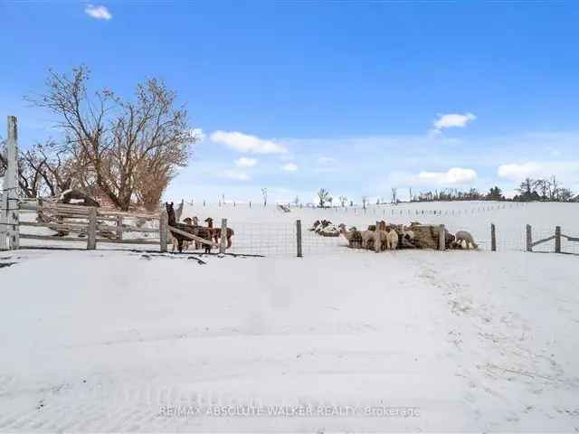 130-Acre Farm with Historic Farmhouse Amazing Race Canada Feature