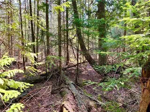 Bruce Peninsula Lake Huron Building Lot 263 Acres