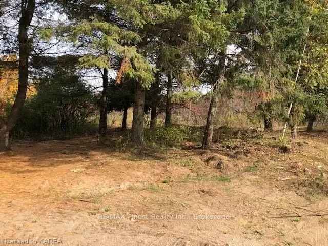 8 Acre Wooded Lot Ready to Build - Privacy and Potential