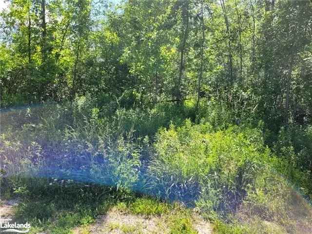 Land For Sale in Collingwood, Ontario