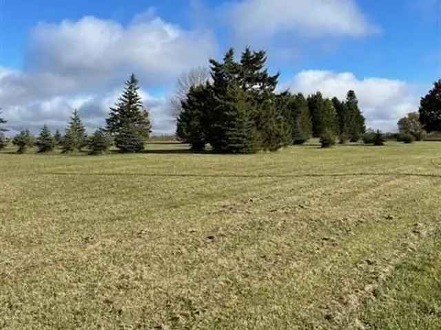 Rural Property Mount Forest 4.36 Acres