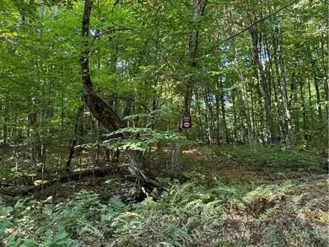 26.68 Acre Property with Trails near Harp Lake and Huntsville