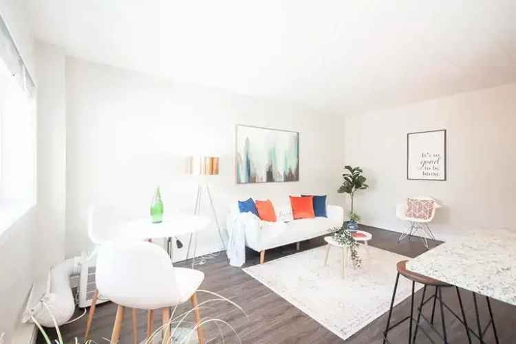 Rent Apartment in Winnipeg with Pet-Friendly Features and Modern Amenities