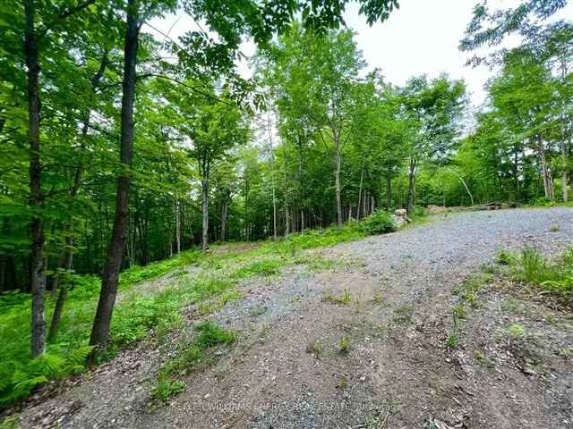 50-Acre Forested Lot with Beaver Pond and Crown Land Access