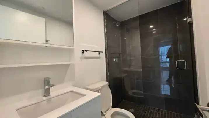 Lease Luxury Condo with 2 Bedrooms 2 Bathrooms in Toronto