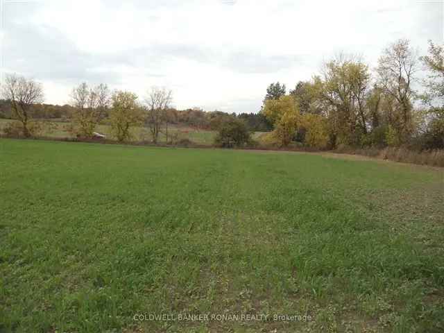 Land For Sale in Adjala–Tosorontio, Ontario