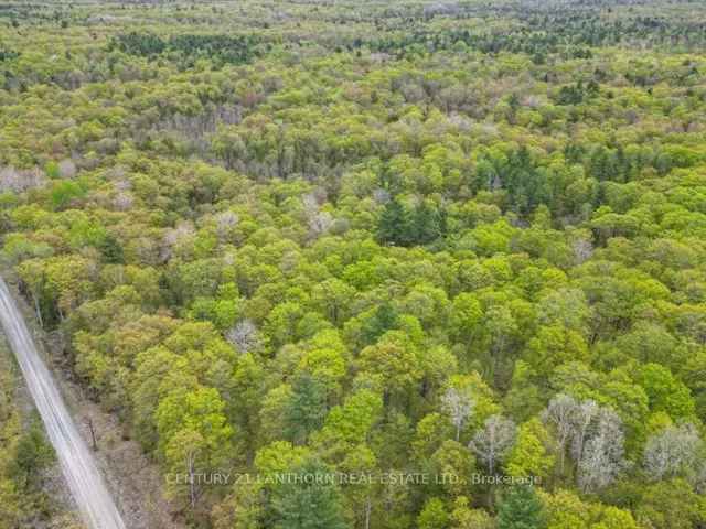 97 Acres Untouched Wilderness Land Abundant Wildlife Close To Lakes Trails