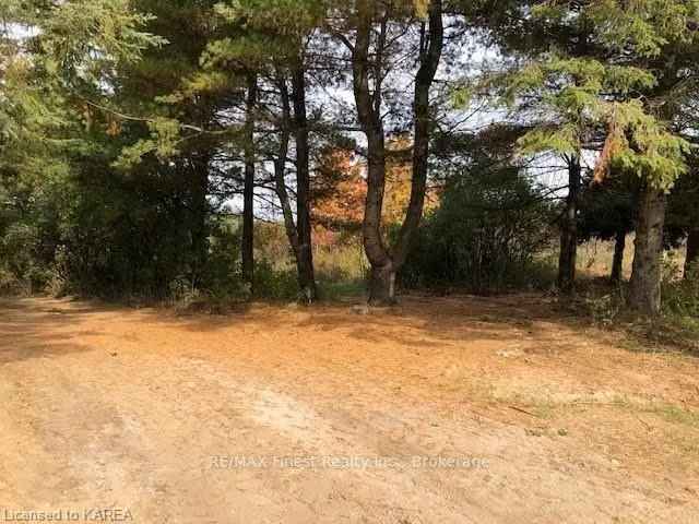 8 Acre Wooded Lot Ready to Build Dream Home