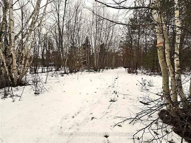 Lakefront Lot in Sunny Sundridge - Steps From Lake Bernard