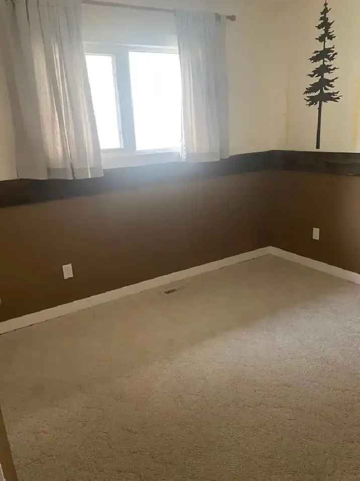 1 room for rent