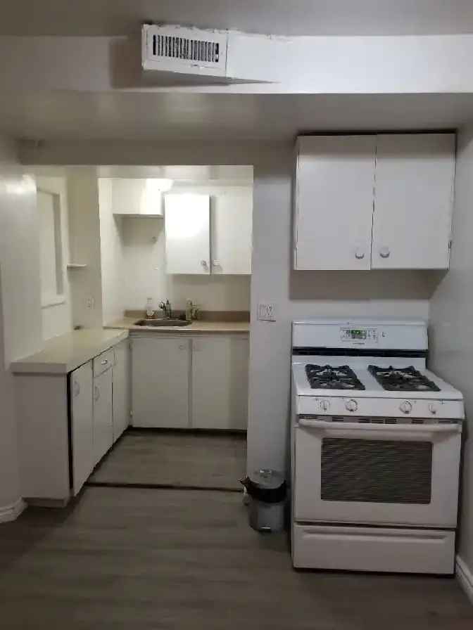 (DOWNTOWN) 1-Bedroom Apartment SUITE, Furnished!