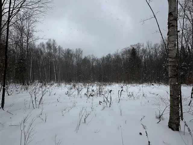 1 Acre Build Ready Lot Near Bancroft