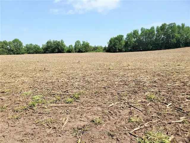 157 Acres Farm Land Investment Opportunity Near Madoc