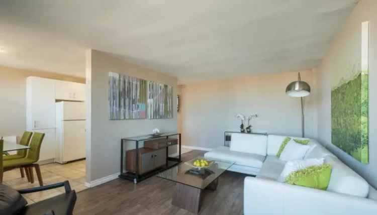 Rent Apartments in North East London with Park Access and Convenience