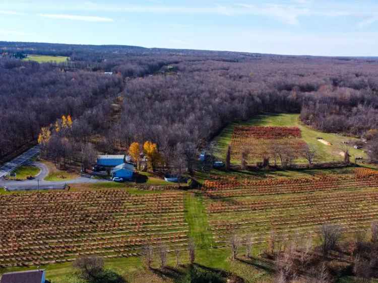 Farm for sale, 3535, Route 202, Franklin - Proprio Direct