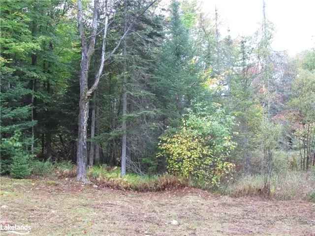 Building Lot on Three Mile Lake Road with Lake Access