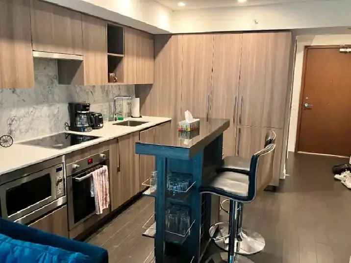 Most Luxurious  1 Bedroom Condo for Rent at 19 Bathurst Street