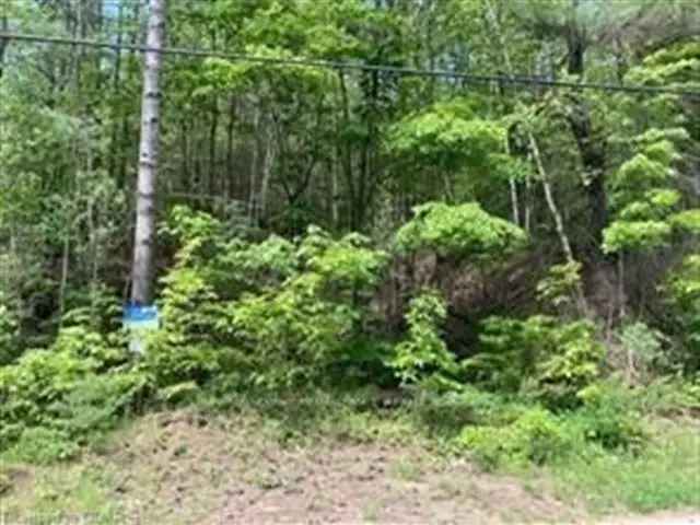 83+ Acre Natural Paradise Hunting Hiking Fishing