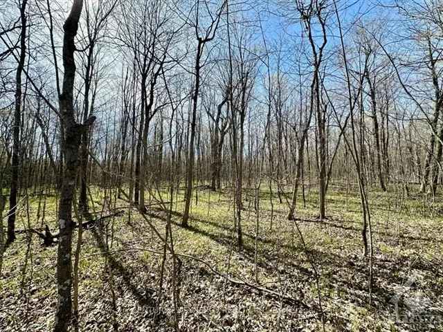 22-Acre Treed Lot with 3-Acre Adjacent Lot - Perfect for Custom Home or Hobby Farm