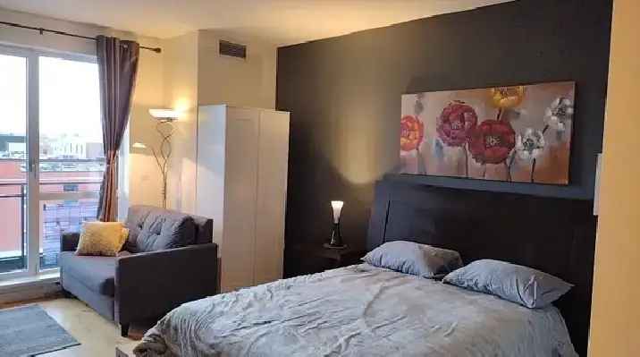 Spacious studio fully furnished downtown Montreal option garage