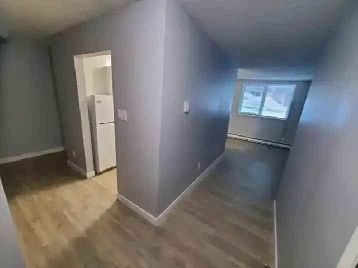 One-Bedroom Suite in Vibrant St Vital Available