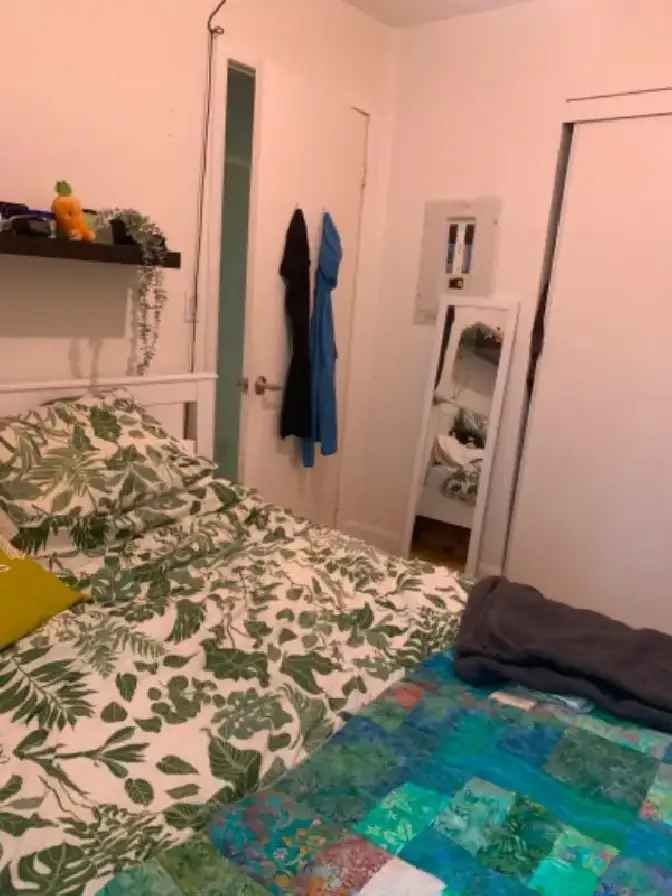 Room for Rent Downtown Toronto Near TMU