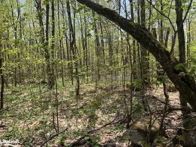 2.1 Acre Building Lot Near Magnetawan and Burks Falls