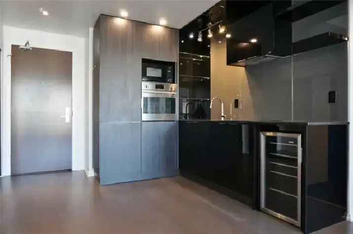 Beautiful 1 bedroom condo facing Nathan philip square