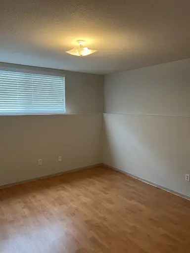 1 Bedroom Basement Suite in Central Coquitlam