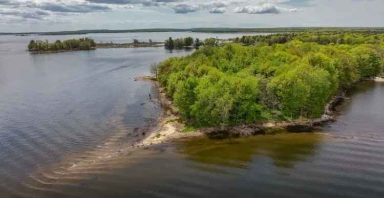 This 11-Acre Georgian Bay Island Costs Less Than a Home in Toronto