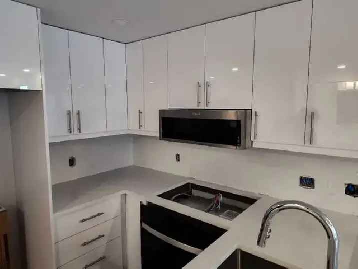 2 Bedroom Downtown Ottawa condo - Move in November