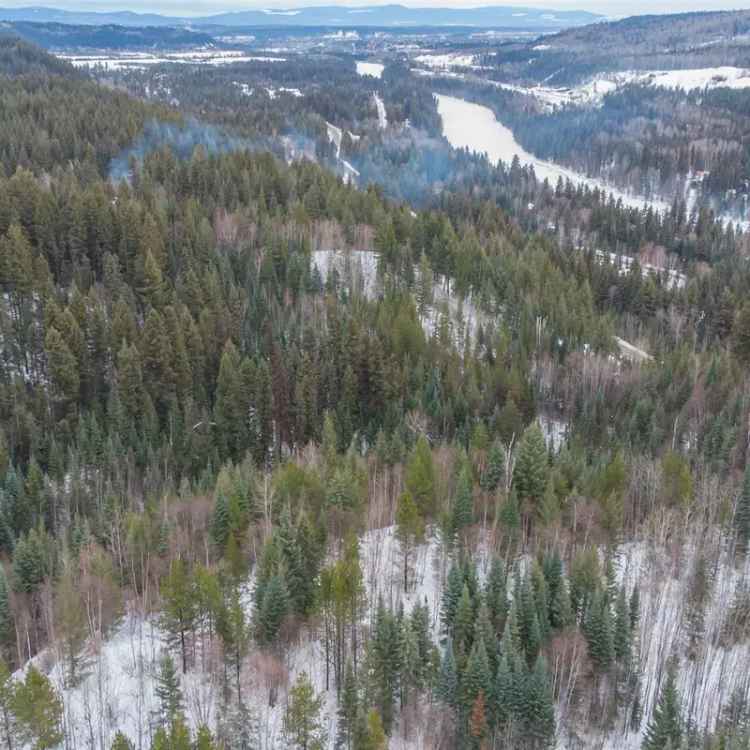 1.28 Acre Lot for Sale in North Nechako with River Views