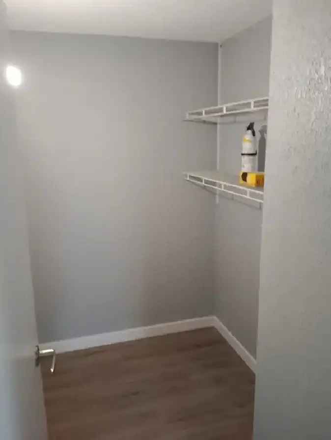 Newly renovated condo for rent