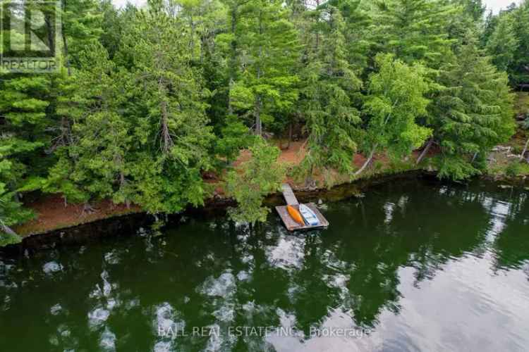 Jack Lake Waterfront Cottage 3BR Bunkie Private Treed Lot