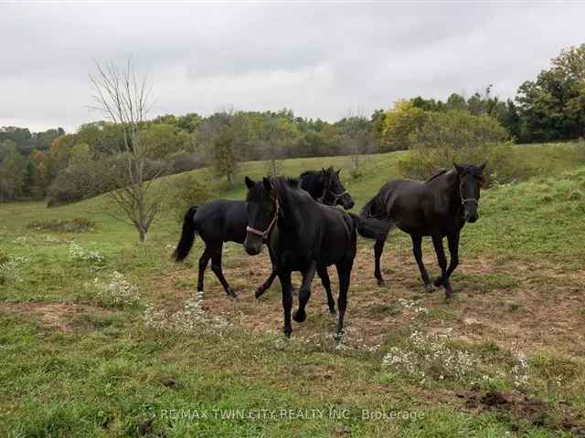 Equestrian Facility 28 Acres 7 Stalls Indoor Arena 3 Bed 3 Bath Home