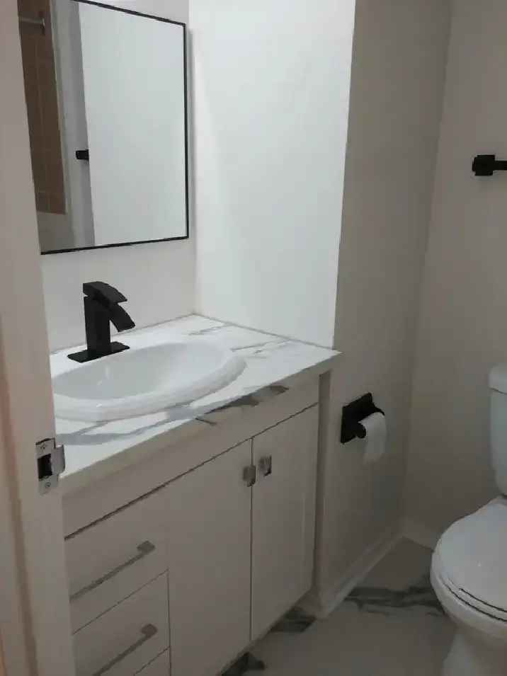 1 Bedroom Apartment Sandy Hill Ottawa May 1st 2025