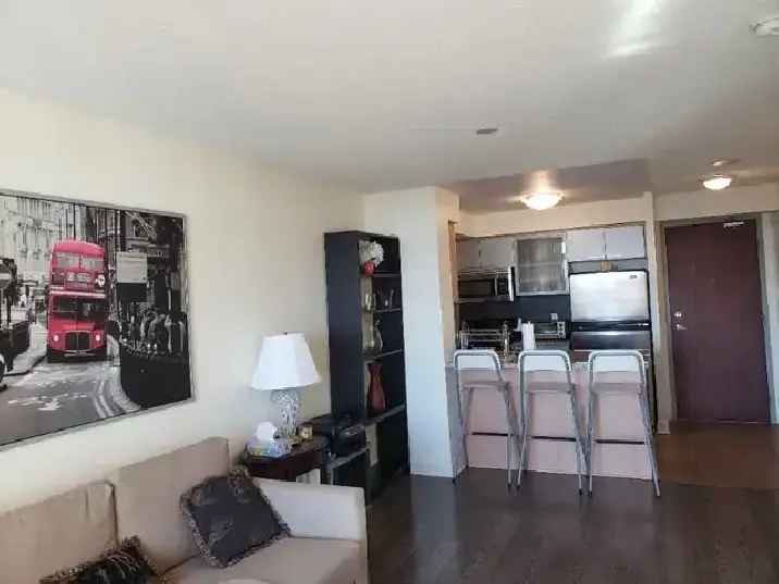 Furnished luxury 1 bedroom Condo