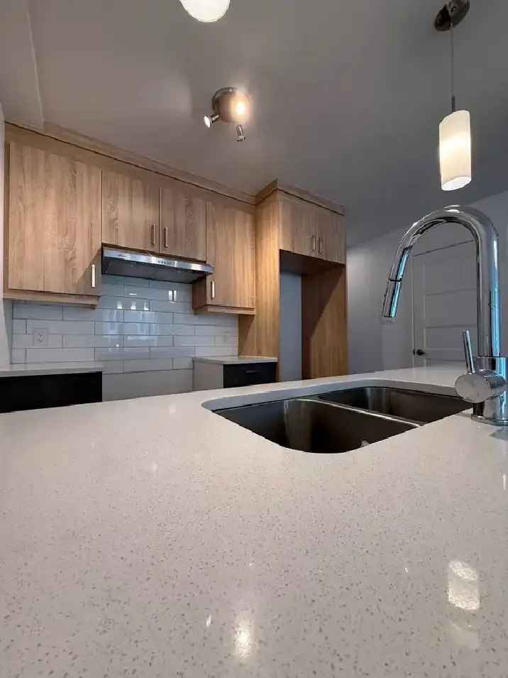 Spacious 3 1/2 in Montreal-Est - April Rent Free