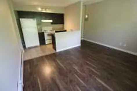 1 room apartment of 48 m² in Calgary